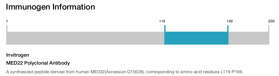 MED22 Polyclonal Antibody