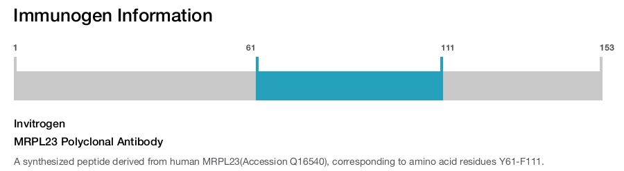 MRPL23 Polyclonal Antibody