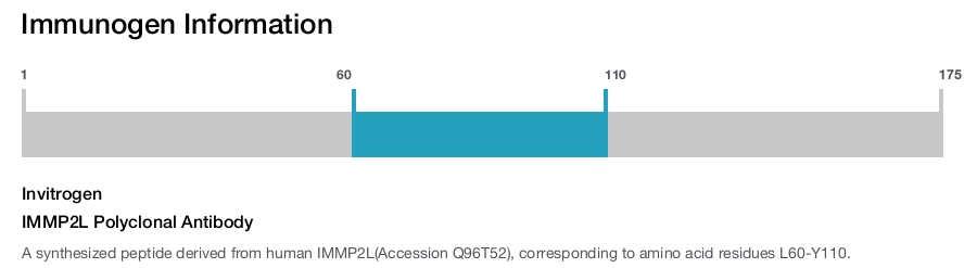 IMMP2L Polyclonal Antibody
