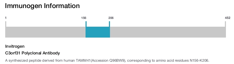 C3orf31 Polyclonal Antibody
