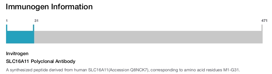 SLC16A11 Polyclonal Antibody
