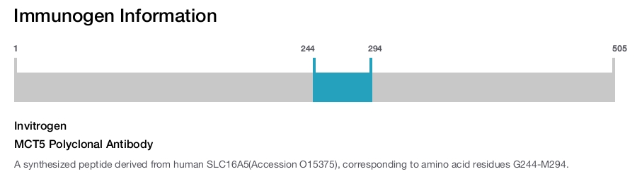 MCT5 Polyclonal Antibody