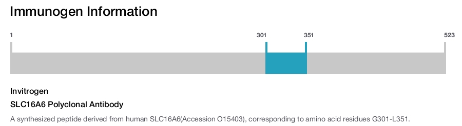 SLC16A6 Polyclonal Antibody