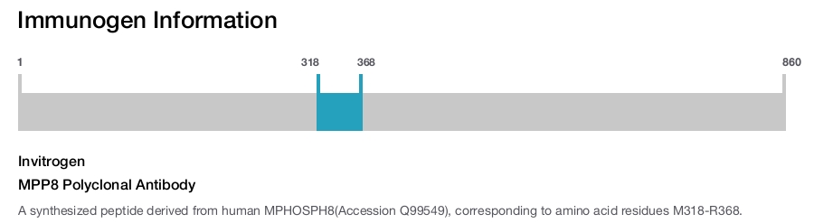 MPP8 Polyclonal Antibody