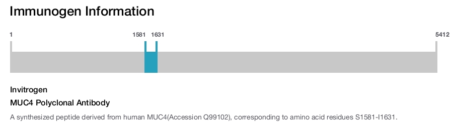 MUC4 Polyclonal Antibody