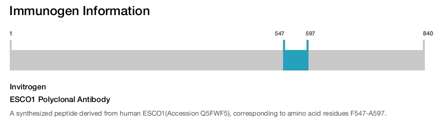 ESCO1 Polyclonal Antibody