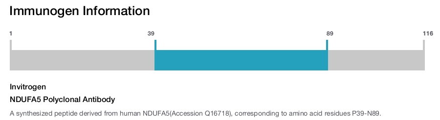 NDUFA5 Polyclonal Antibody