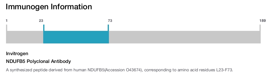 NDUFB5 Polyclonal Antibody