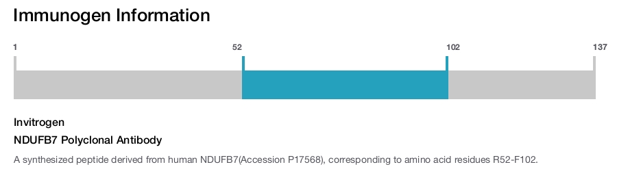 NDUFB7 Polyclonal Antibody