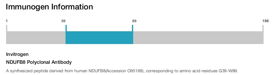 NDUFB8 Polyclonal Antibody