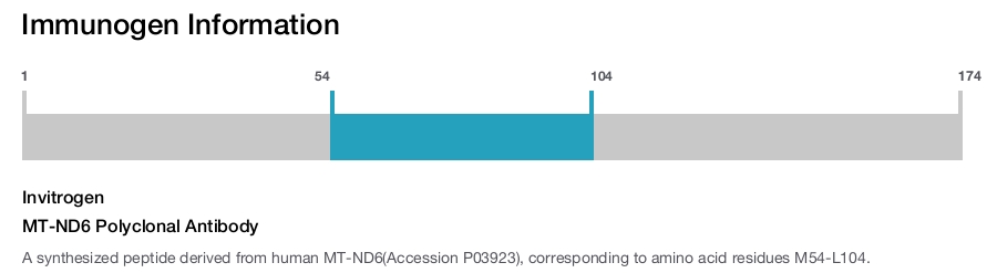 MT-ND6 Polyclonal Antibody