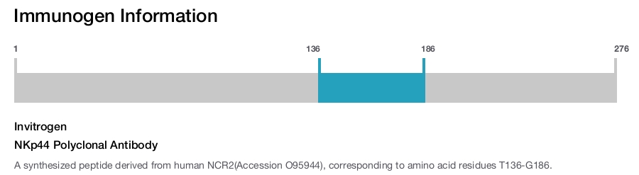 NKp44 Polyclonal Antibody