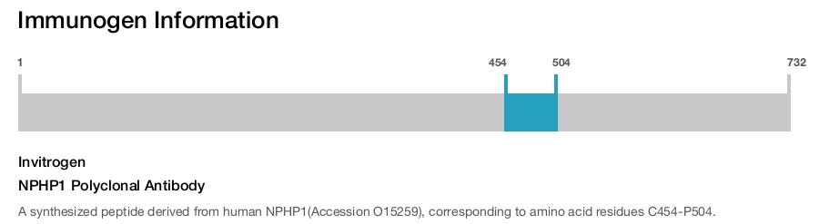 NPHP1 Polyclonal Antibody