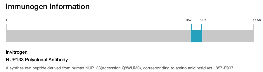 NUP133 Polyclonal Antibody