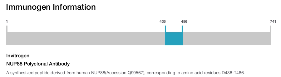 NUP88 Polyclonal Antibody