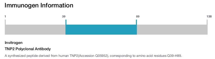 TNP2 Polyclonal Antibody