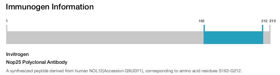Nop25 Polyclonal Antibody