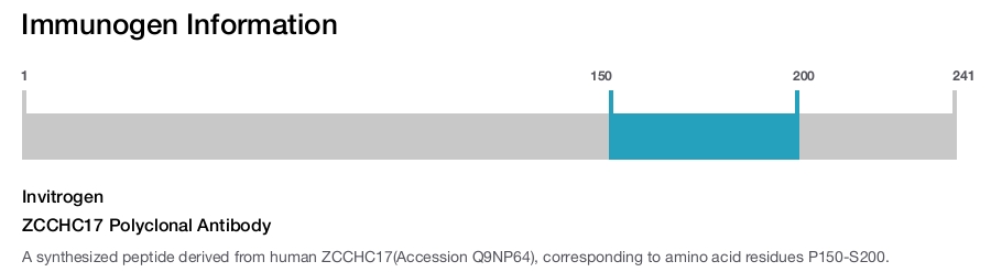 ZCCHC17 Polyclonal Antibody
