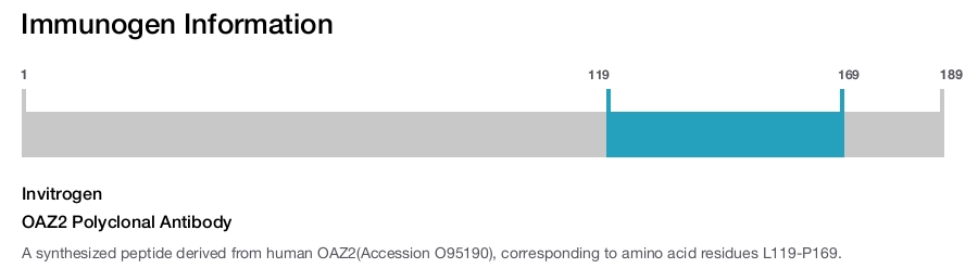 OAZ2 Polyclonal Antibody