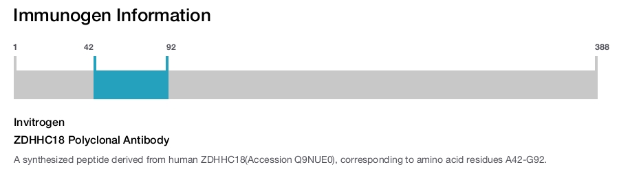 ZDHHC18 Polyclonal Antibody