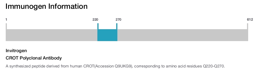 CROT Polyclonal Antibody