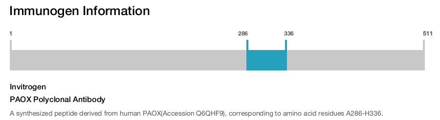 PAOX Polyclonal Antibody
