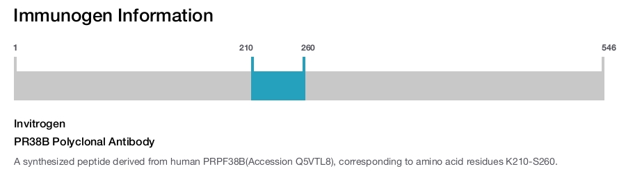 PR38B Polyclonal Antibody