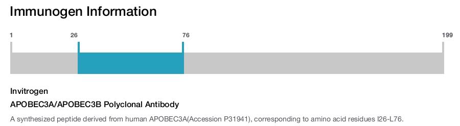 APOBEC3A/APOBEC3B Polyclonal Antibody