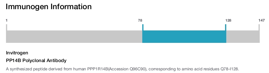 PP14B Polyclonal Antibody