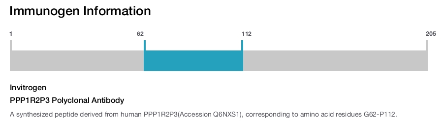 PPP1R2P3 Polyclonal Antibody