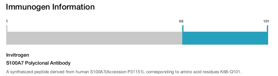 S100A7 Polyclonal Antibody