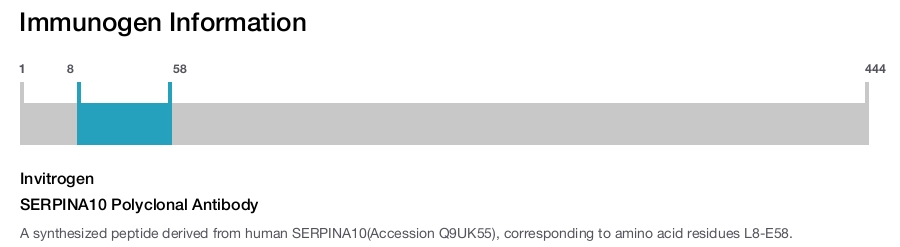 SERPINA10 Polyclonal Antibody