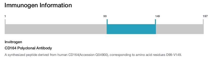 CD164 Polyclonal Antibody