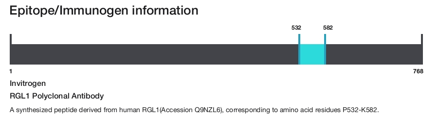 RGL1 Polyclonal Antibody