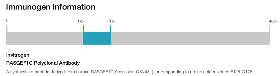 RASGEF1C Polyclonal Antibody