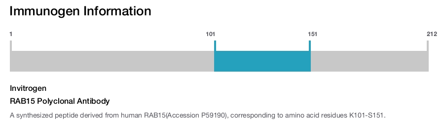 RAB15 Polyclonal Antibody