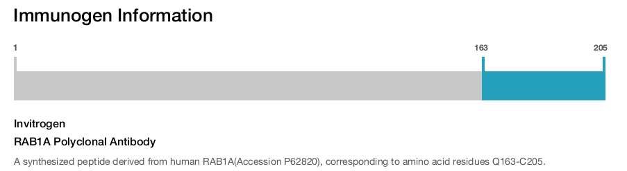 RAB1A Polyclonal Antibody
