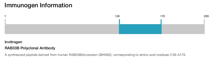 RAB33B Polyclonal Antibody