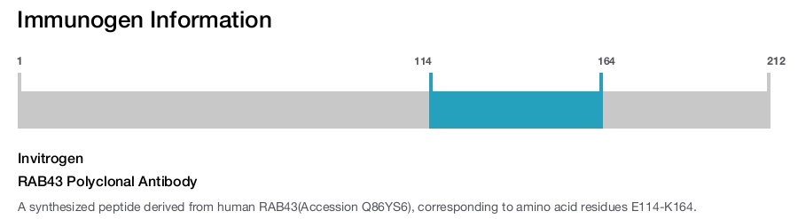 RAB43 Polyclonal Antibody
