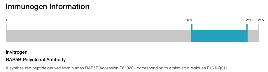 RAB5B Polyclonal Antibody
