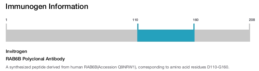 RAB6B Polyclonal Antibody