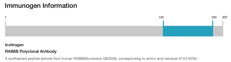 RAB8B Polyclonal Antibody