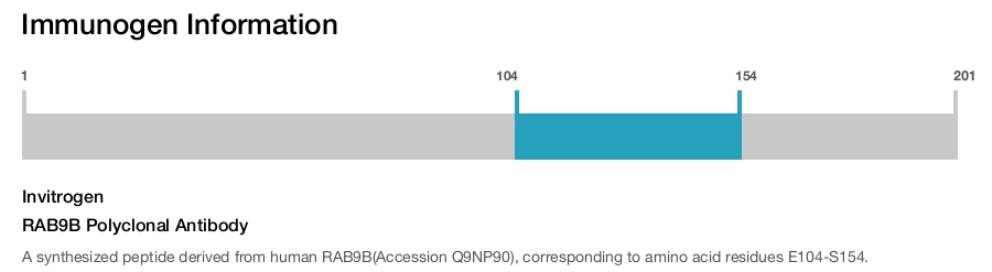 RAB9B Polyclonal Antibody