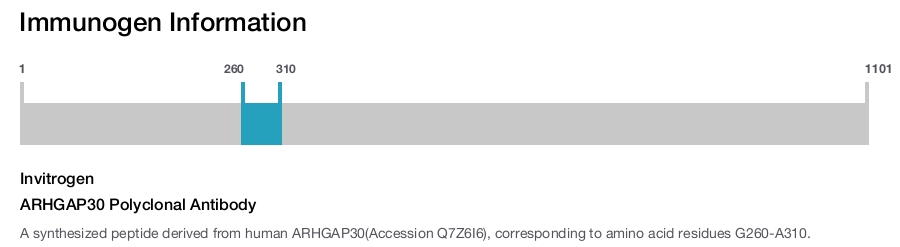 ARHGAP30 Polyclonal Antibody