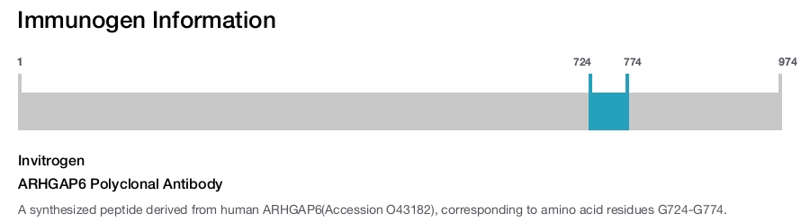 ARHGAP6 Polyclonal Antibody