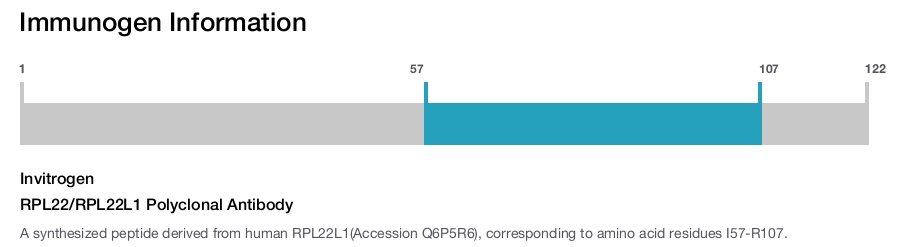 RPL22/RPL22L1 Polyclonal Antibody