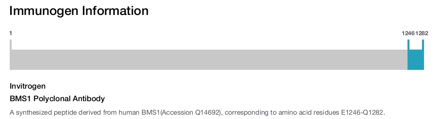 BMS1 Polyclonal Antibody