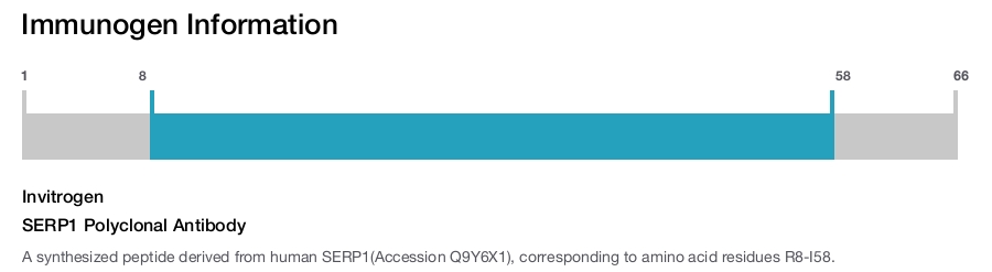 SERP1 Polyclonal Antibody