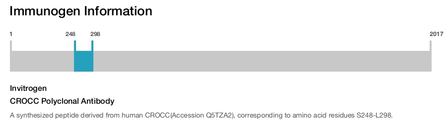 CROCC Polyclonal Antibody