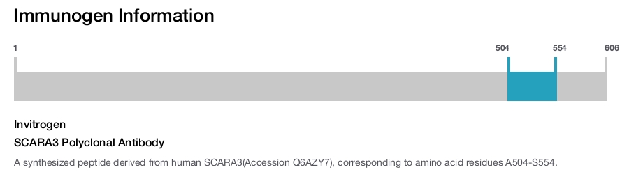 SCARA3 Polyclonal Antibody
